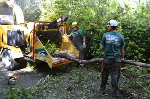 tree services Tyndall AFB